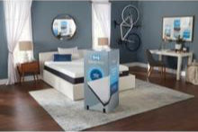 Mattress-In-A-Box