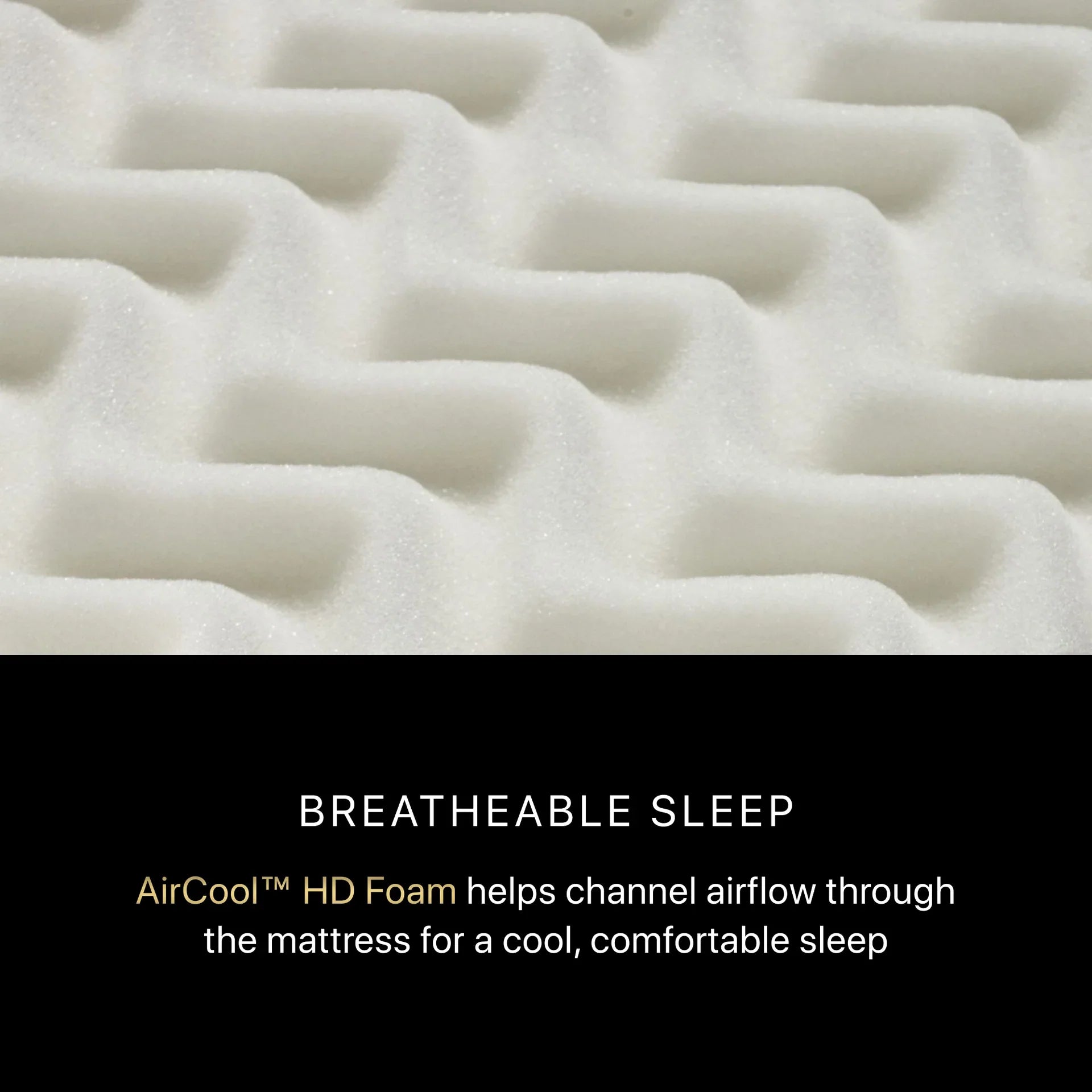 Beautyrest Black Series One Plush Mattress