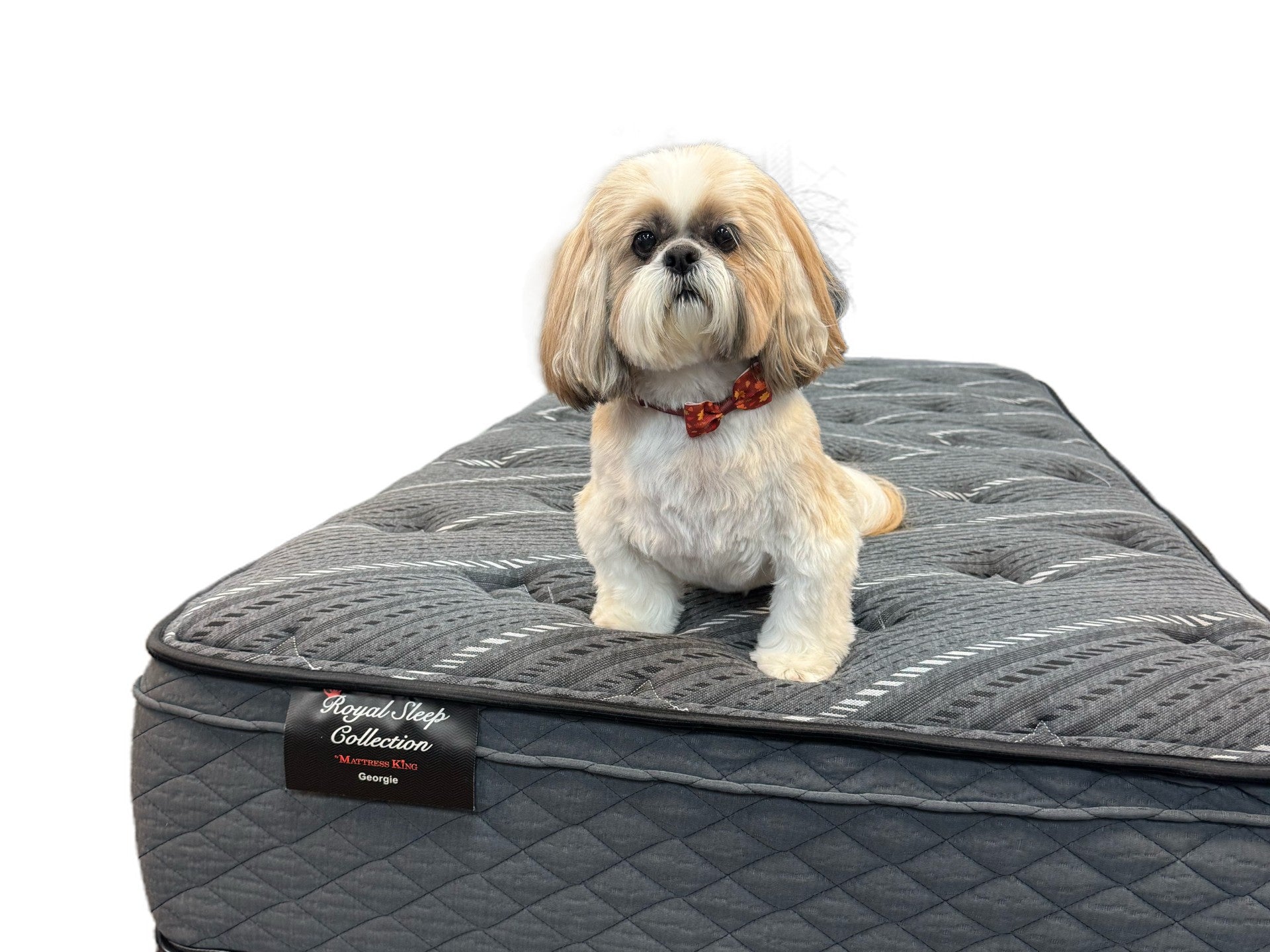 Royal Sleep by Mattress King-Georgie ET