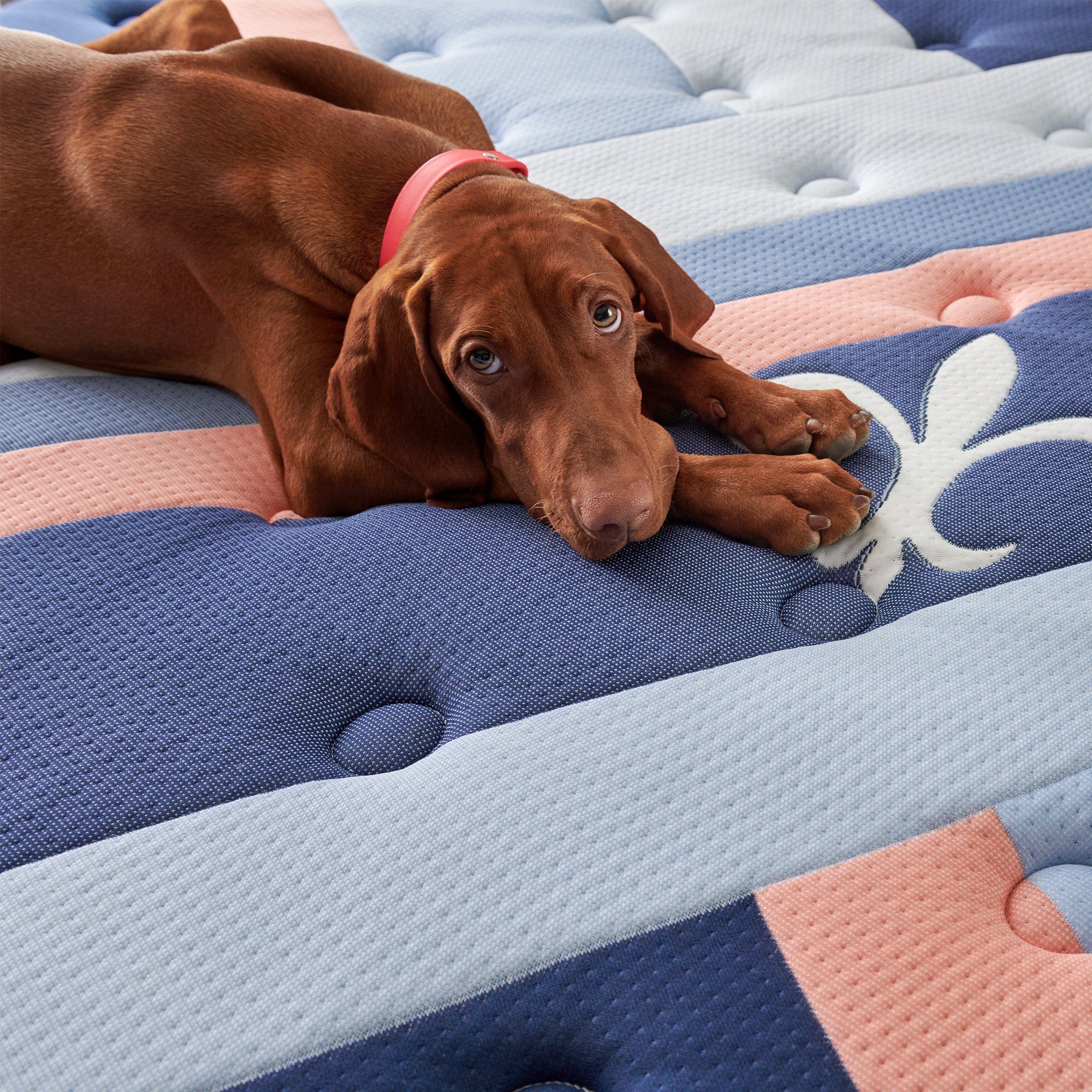 Stearns & Foster Reserve Duet Flippable Pillow Top