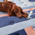 Stearns & Foster Reserve Duet Flippable Pillow Top